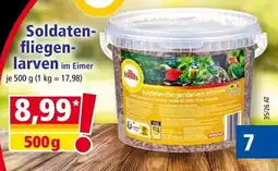 Norma Soldatenfliegenlarven im Eimer Angebot