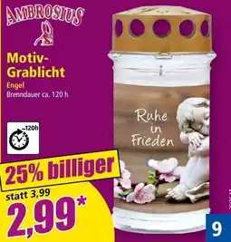 Norma Ambrosius Motiv-Grablicht Engel Angebot
