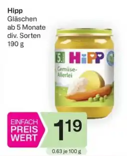 Bipa Hipp Gläschen Angebot