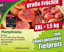 Norma Plattpfirsiche Super nivo Angebot