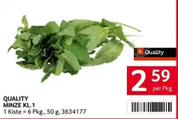 Transgourmet Quality Minze KL.1 Angebot