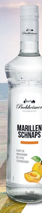 Metro Puchheimer Schnaps Angebot