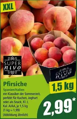 Norma Pfirsiche Super nivo Angebot
