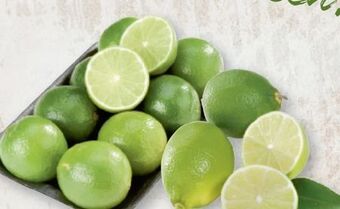 Metro Limetten Angebot