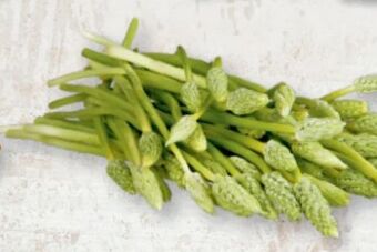 Metro Spargel Angebot