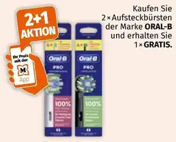Müller Aufsteckbürsten ORAL-B Angebot