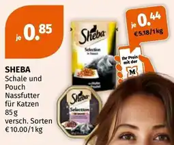 Müller SHEBA Schale und Pouch Nassfutter für Katzen Angebot