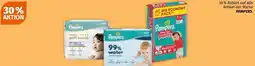 Müller Pampers Angebot