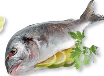 Metro Goldbrasse Angebot