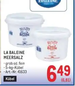 Metro LA BALEINE MEERSALZ Angebot