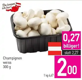 Champignon weiss