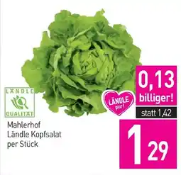 Sutterlüty Mahlerhof Ländle Kopfsalat Angebot