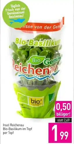 Sutterlüty Bio-Basilikum Angebot