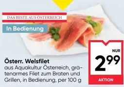 Maximarkt Österr. Welsfilet Angebot