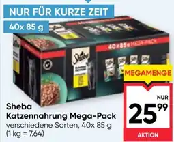 Maximarkt Sheba Katzenfutter Angebot