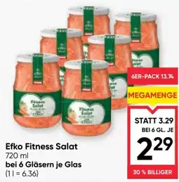 Maximarkt Efko Fitness Salad Angebot