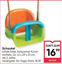 Maximarkt Schaukel Angebot