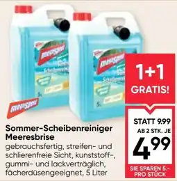 Maximarkt Sommer-Scheibenreiniger Meeresbrise Angebot