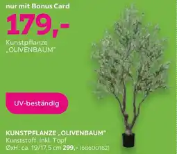 Mömax Kunstpflanze OLIVENBAUM Angebot