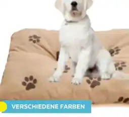 Möbelix Ondega Haustierkissen Sissi Angebot