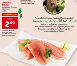 Interspar Gut Dornau Welsfilet Angebot