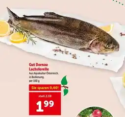 Interspar Gut Dornau Lachsforelle Angebot