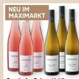 Maximarkt Ernsthofer Grüner Veltliner Wachau Angebot