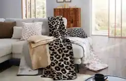 XXXLutz Dieter Knoll Zierkisse Angebot