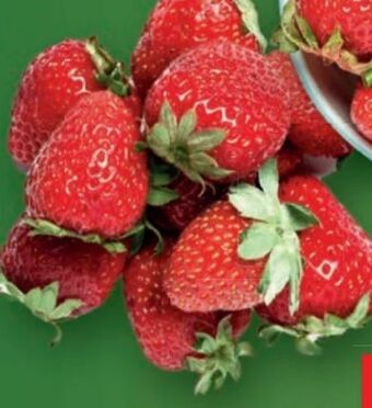 Lidl Erdbeeren Angebot