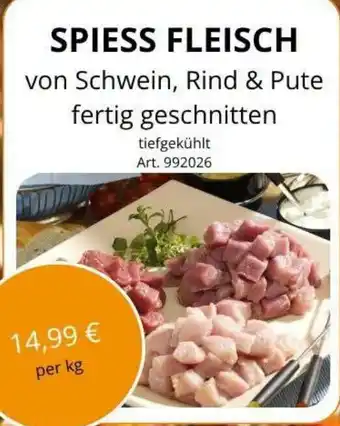 Spiess Fleisch von Schwein, Rind & Pute
