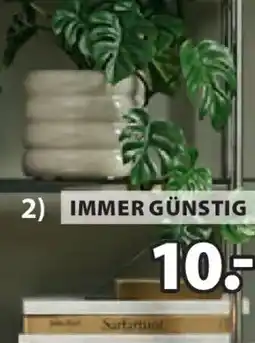 JYSK Blumentopf MANFRED Angebot