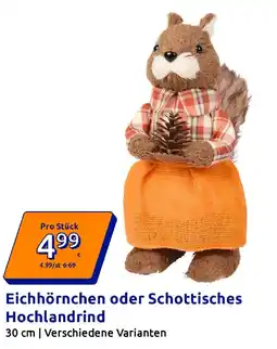 Action Eichhörnchen oder Schottisches Hochlandrind Angebot