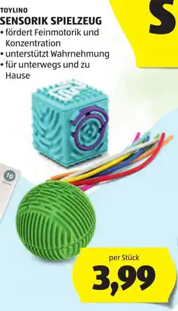 Hofer TOYLINO SENSORIK SPIELZEUG Angebot