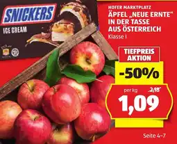 Hofer Äpfel „Neue Ernte“ Angebot