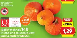 Hofer Bio-Kürbis Angebot