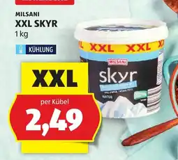 Hofer Milsani Skyr Angebot