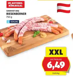 Hofer Sonnhof BBQ Riesenberner Angebot