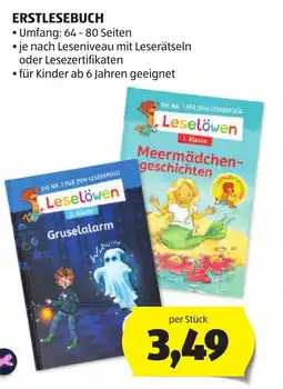 Hofer Leselöwen Angebot