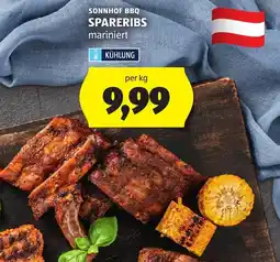 Hofer Sonnhof BBQ Spareribs Angebot
