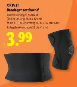 Lidl CRIVIT Bandagensortiment Angebot