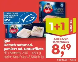 ADEG iglo Dorsch natur od. paniert od. Naturfilets Angebot