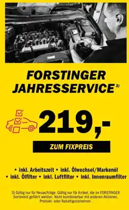 Forstinger Jahresservice Angebot