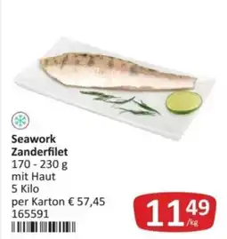 Kastner Seawork Zanderfilet Angebot