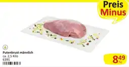 Kastner Putenbrust männlich Angebot