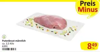 Putenbrust männlich