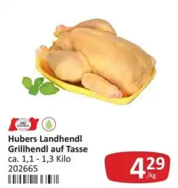 Kastner Hubers Landhendl Grillhendl auf Tasse Angebot