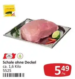 Kastner Schale ohne Deckel Angebot