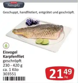 Kastner Eisvogel Karpfenfilet Angebot