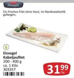 Kastner Feinspitz Eisvogel Kabeljaufilet Angebot