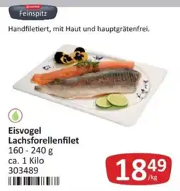 Kastner Feinspitz Eisvogel Lachsforellenfilet Angebot